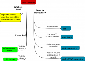 shell variables concept map