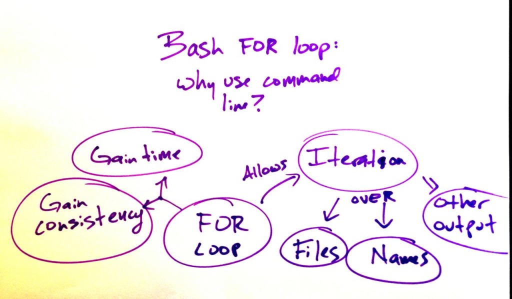 bash-for-loop